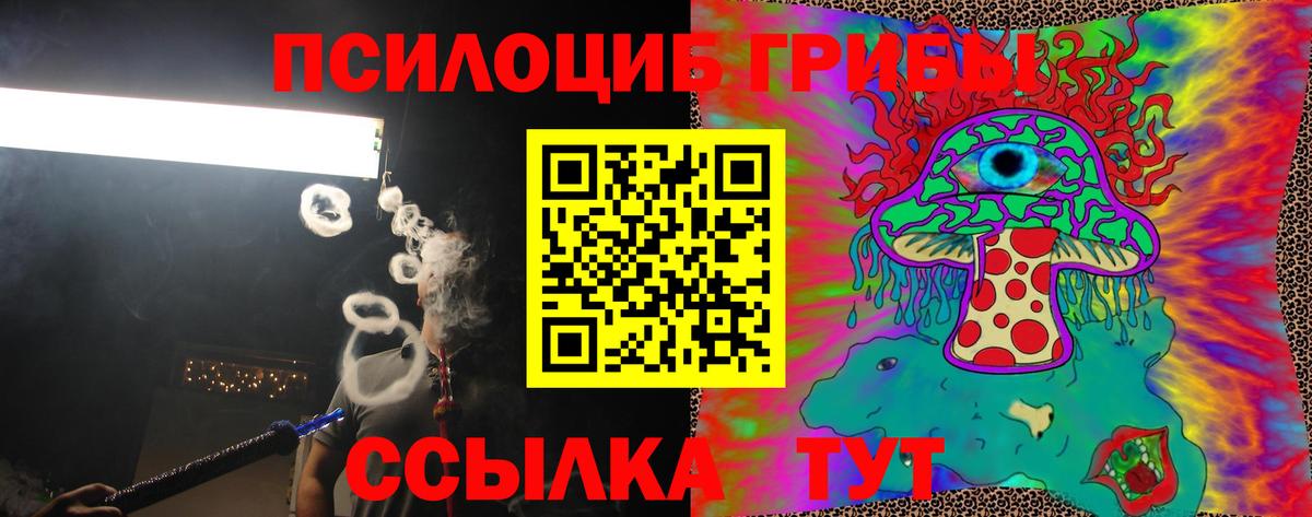 Псилоцибиновые грибы Psilocybe Камышлов